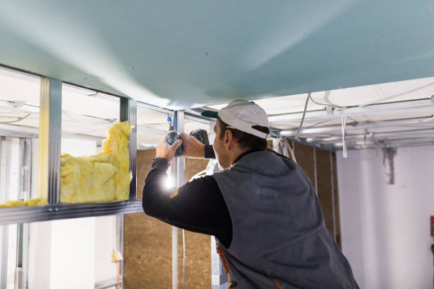 Best Types of Insulation in Meadow Vista, CA